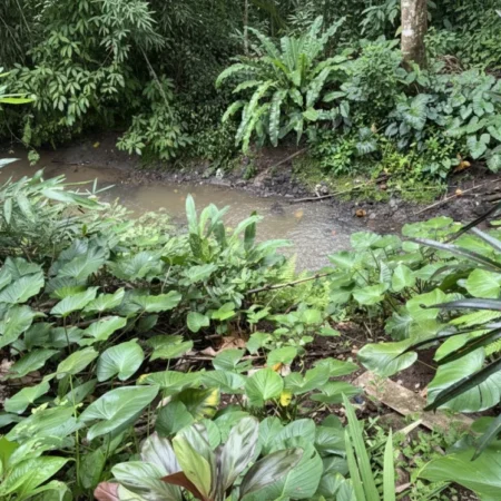 River View Jungle - Hideaway Villas