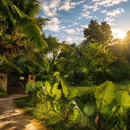 Sunrise - Jungle Hideaway Villas