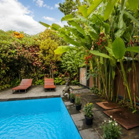 Swimming Pool Garden - Jungle Hideaway Villas